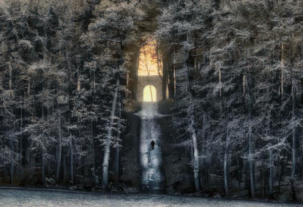 047 - De Korrel Wemmel - Alain Schellinckx - Gaasbeek winterlandschap